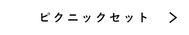 ピクニックセット