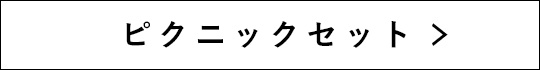 ピクニックセット